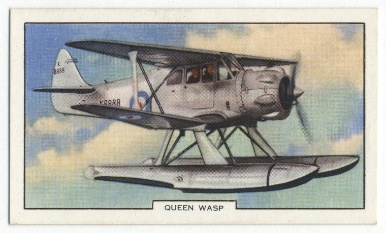 Queen Wasp - Vintage cigarette card